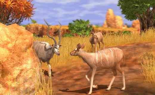 Download Wildlife Park 3 Africa Game Full Version