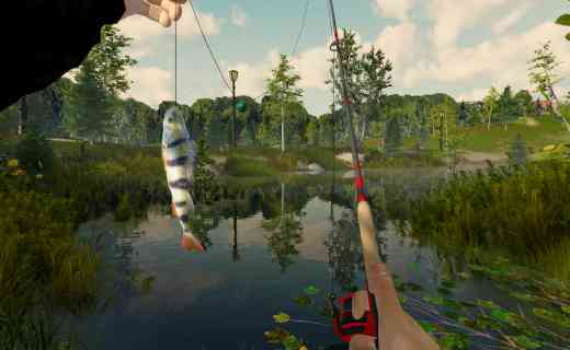 Fishing Adventure Free Download Full Version