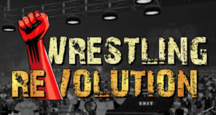 Wrestling-Revolution-2d-Free-Download